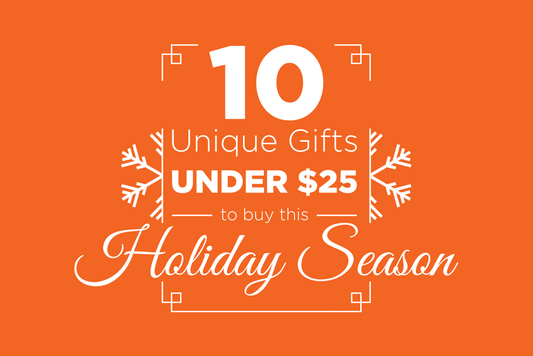 Unique Gift Under $25 to Buy this Holiday Season