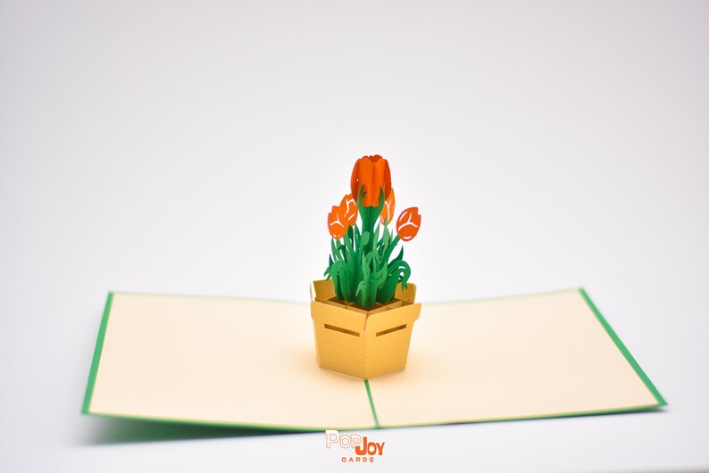 Tulip Flower Bouquet pop-up card front cover