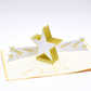 Congratulations (You're a Star!) Pop Up Card