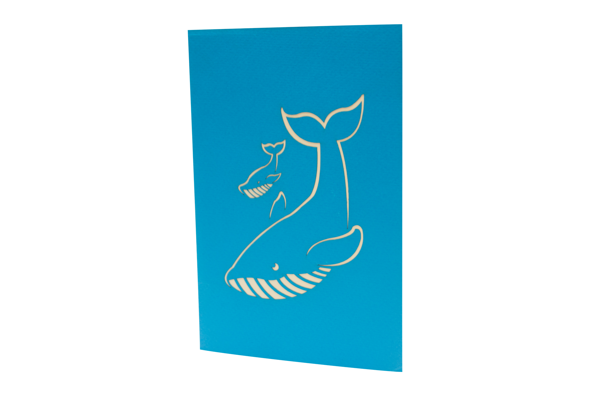 Blue card showing outlines of blue whale and baby blue whale in white
