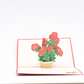 Roses Pop Up Card