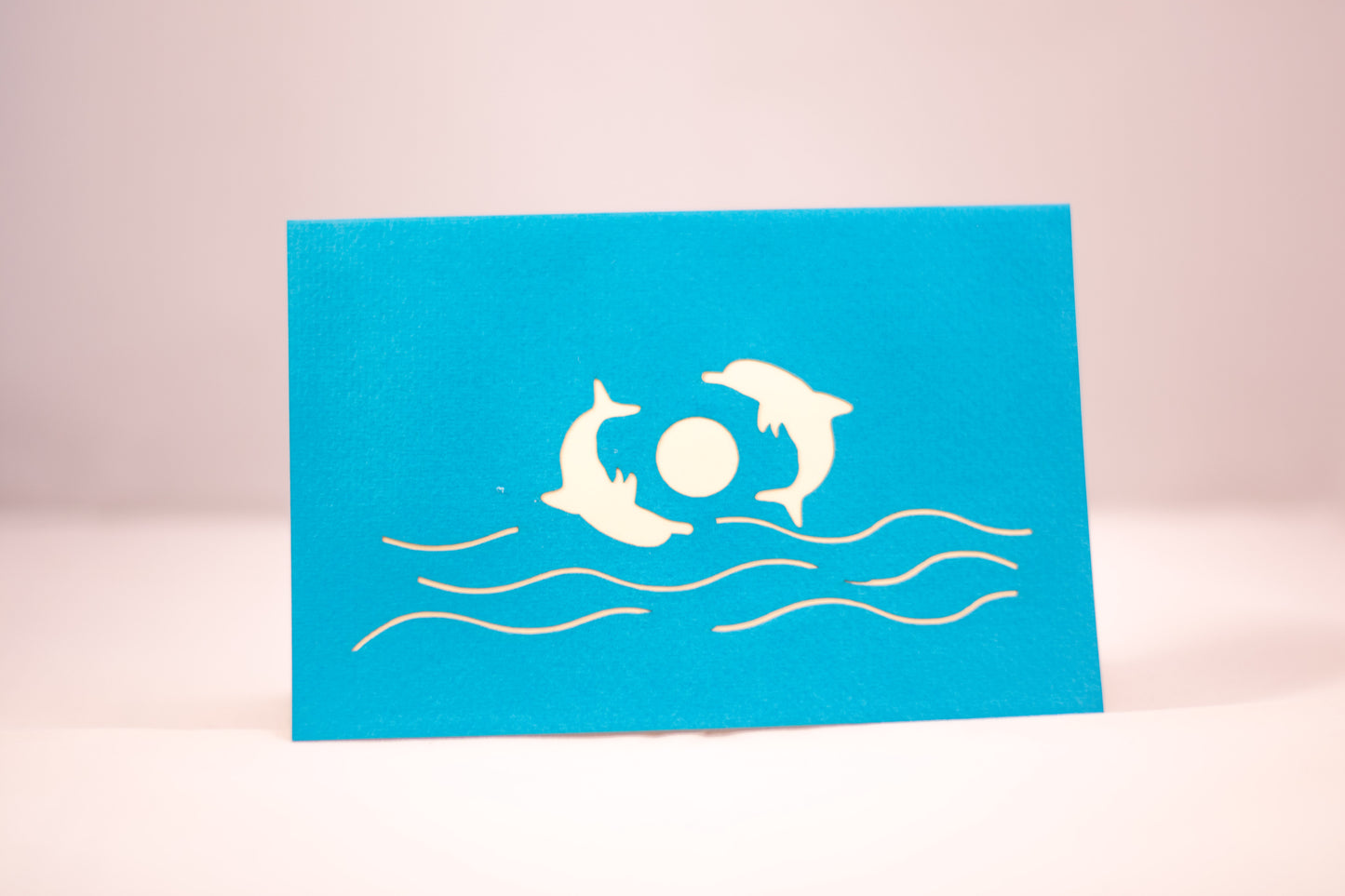 Blue card showing two dolphins playing with a ball on the front cover