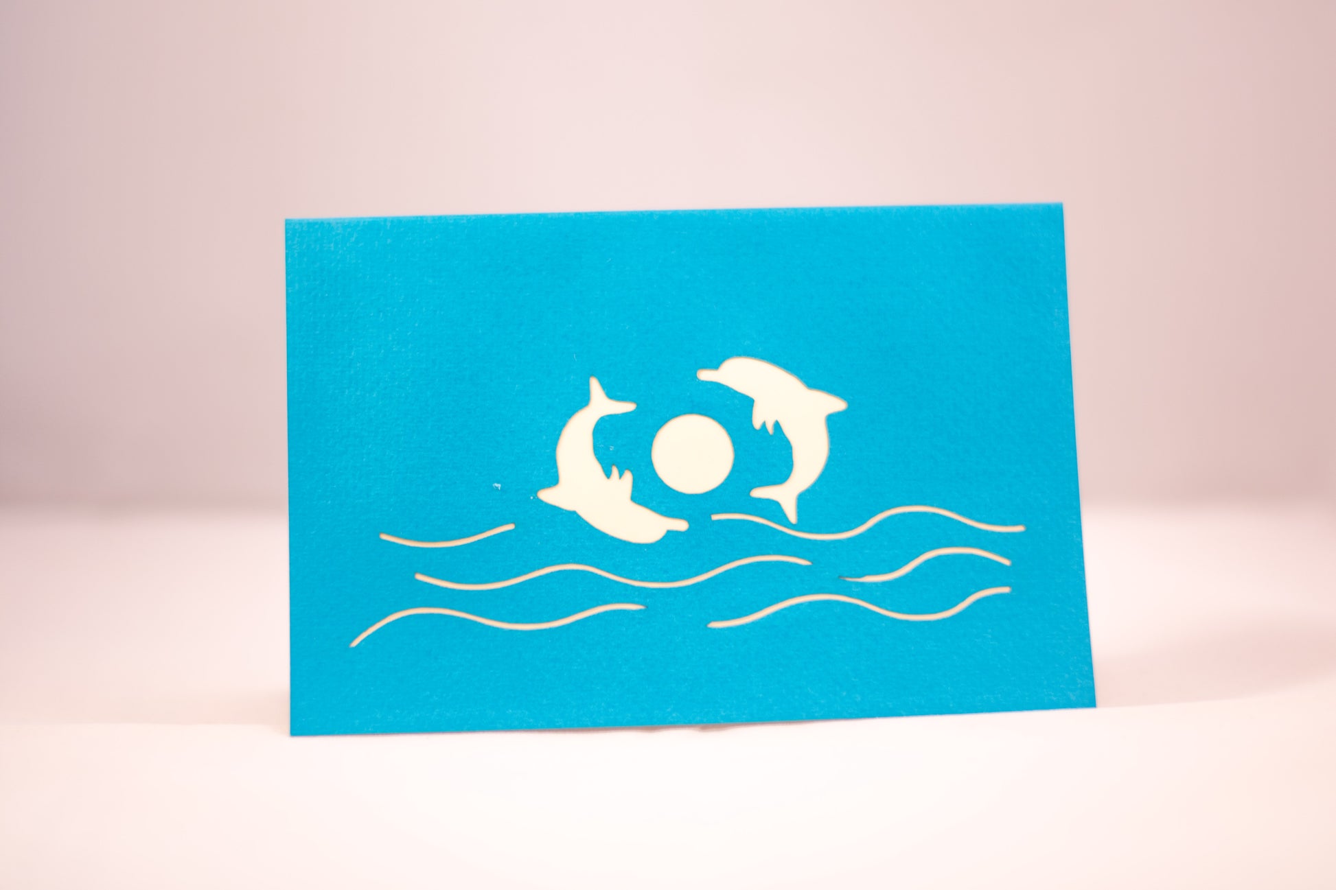 Blue card showing two dolphins playing with a ball on the front cover